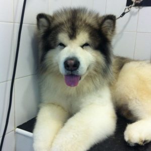 07d6686a-ad09-41ff-90c8-f43a0d3fc8cb