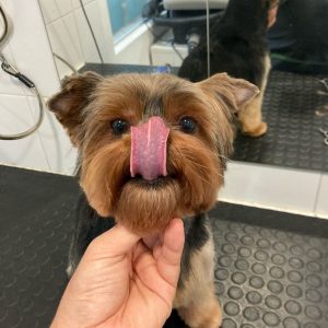 512c7031-072b-470b-9941-ffa9bce0beb0