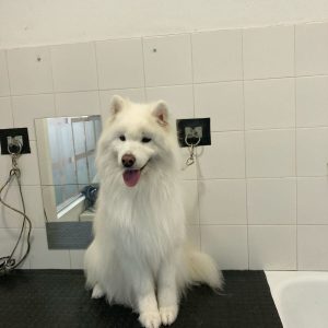 5a888a31-3478-43c3-96d7-6c455d65cce6