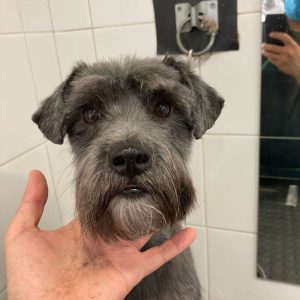 798a04f7-7b73-42af-889c-1dbee84d11b5