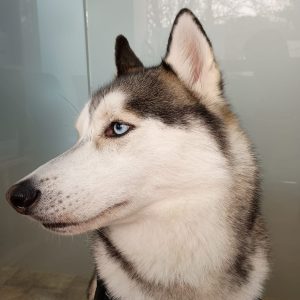 84c08c6f-ab3f-42f5-b4c2-63bb03869d5d