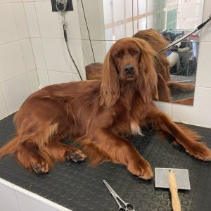 9b8f89fb-450a-467e-87c5-3caa26c47076