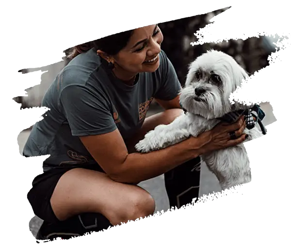 pet sitting teammate 2